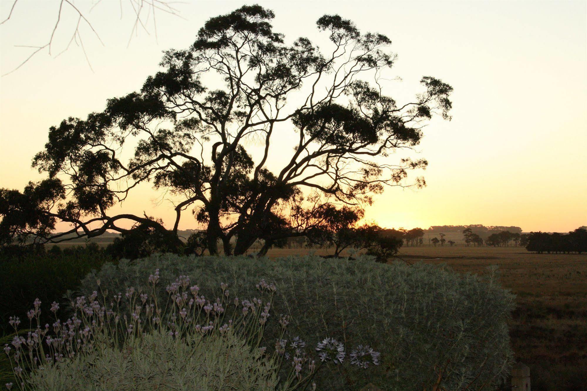 Quamby Homestead Woolsthorpe Exterior photo